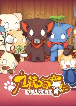 九藏喵窝封面图