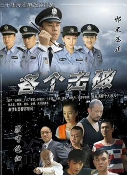 各个击破封面图