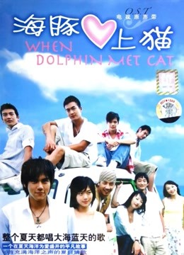 海豚爱上猫封面图
