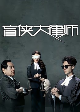 盲侠大律师封面图