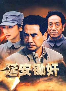 延安锄奸封面图