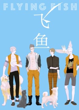 飞鱼封面图
