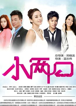 小两口 DVD版封面图