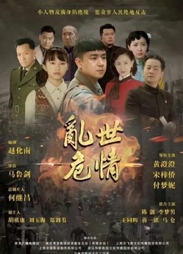 乱世危情封面图