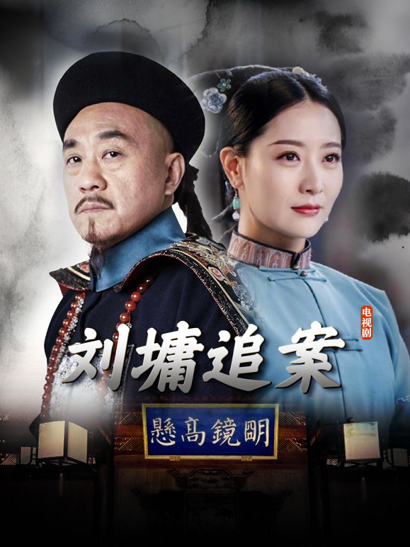 刘墉追案封面图