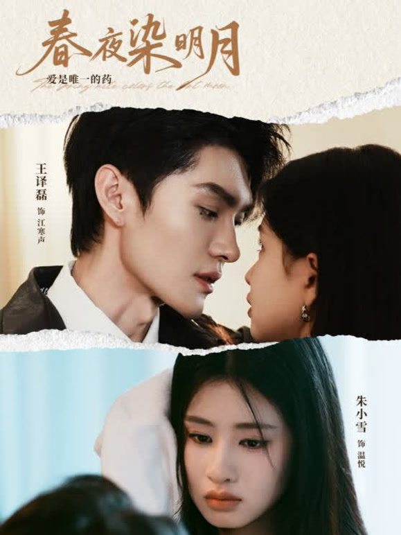 春夜染明月封面图