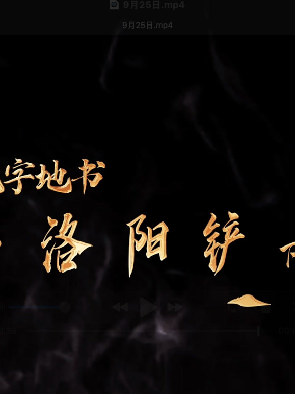 无字地书:洛阳铲下的谜团封面图