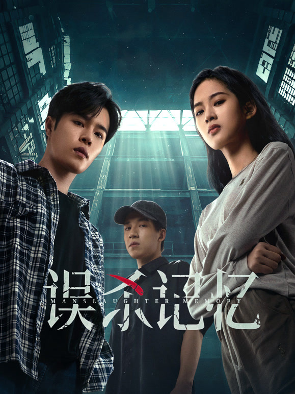 误杀记忆封面图