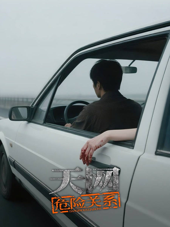 天网:危险关系封面图