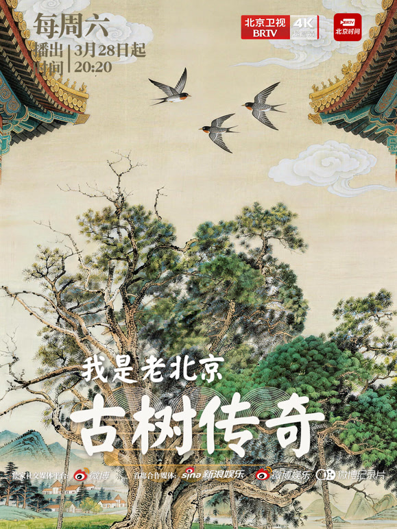 我是老北京:古树传奇封面图