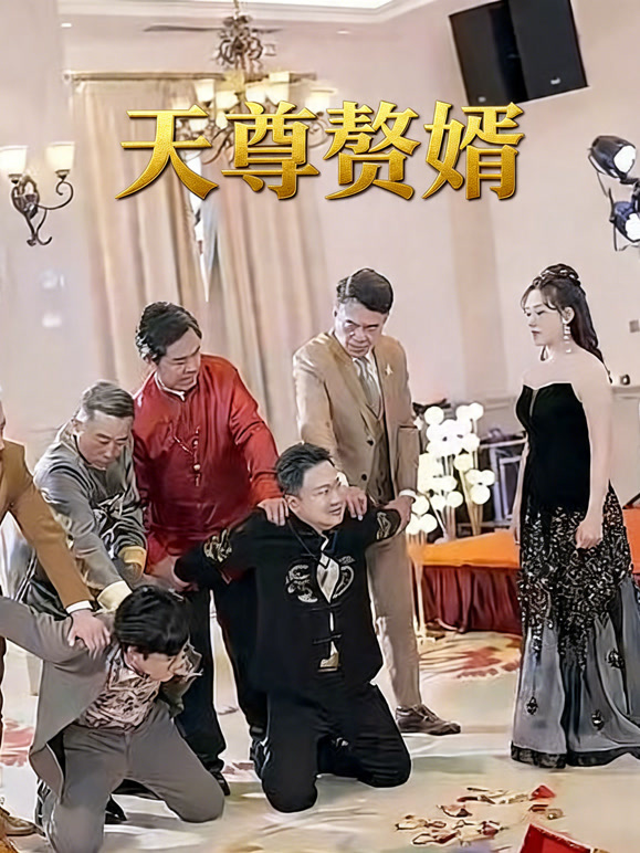 天尊赘婿封面图