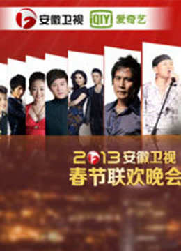 安徽卫视2013春晚封面图