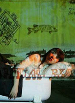 镜花水月封面图