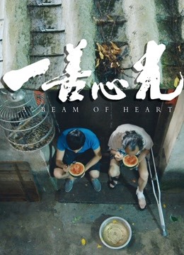 一善心光封面图