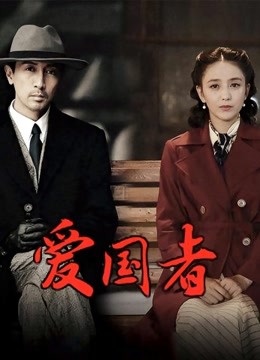 爱国者 DVD版封面图