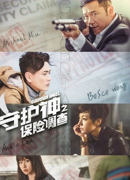 守护神之保险调查 粤语封面图