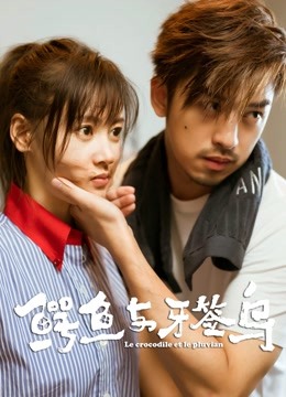 鳄鱼与牙签鸟 DVD版封面图