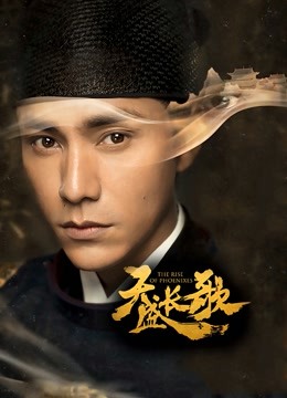 天盛长歌 DVD版封面图