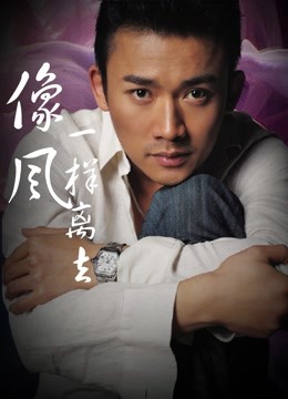 像风一样离去封面图