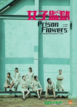 女囚风暴1995粤语封面图