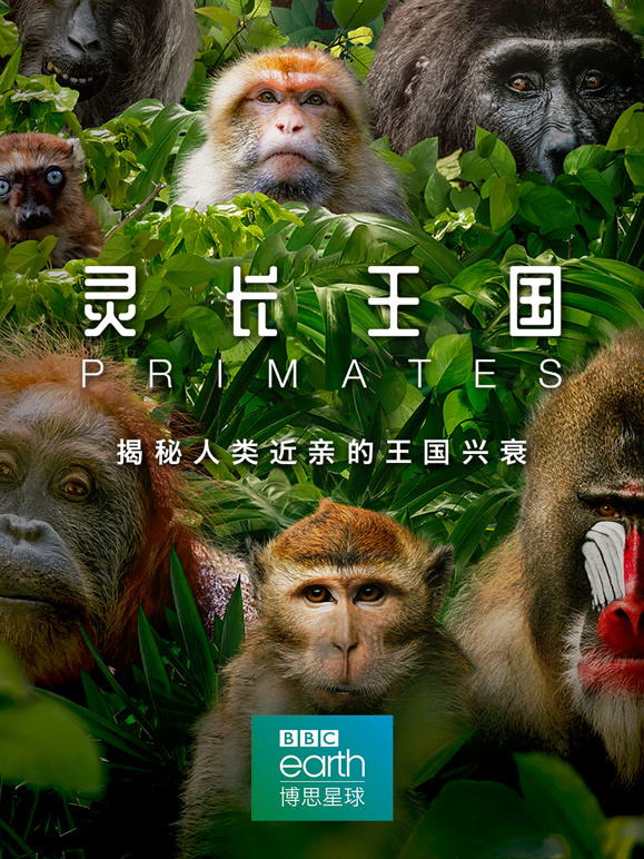 灵长王国 版封面图