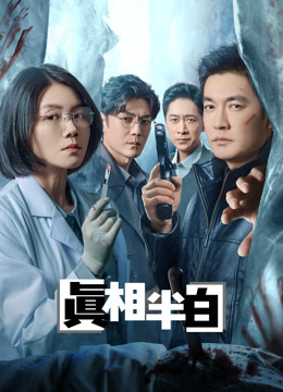 真相半白封面图