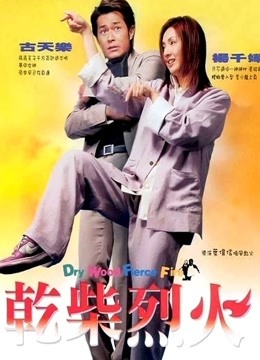干柴烈火封面图