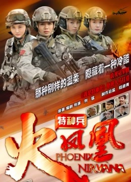 特种兵之火凤凰 DVD版封面图