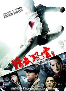 精武风云:陈真封面图