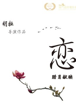 恋封面图