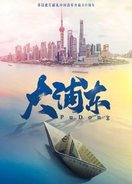 大浦东封面图