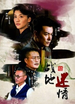 战地迷情封面图