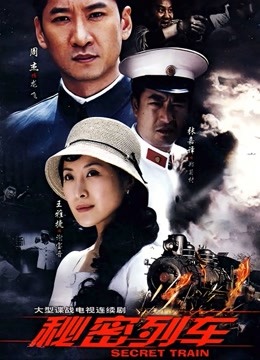 秘密列车封面图