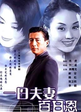 一日夫妻百日恩高曙光版封面图