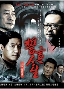 誓言今生封面图