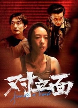 对立面封面图