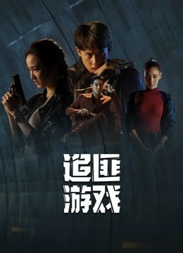 追匪游戏版封面图