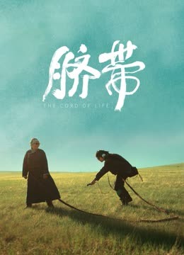 脐带封面图