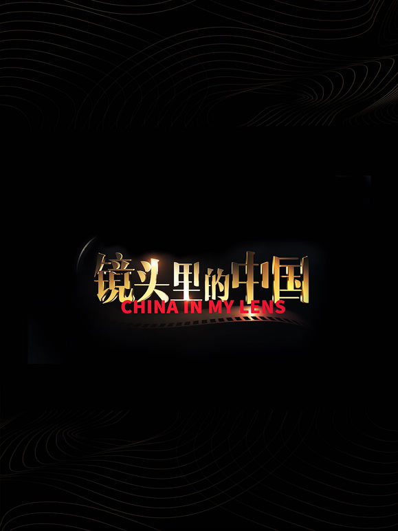 镜头里的中国封面图