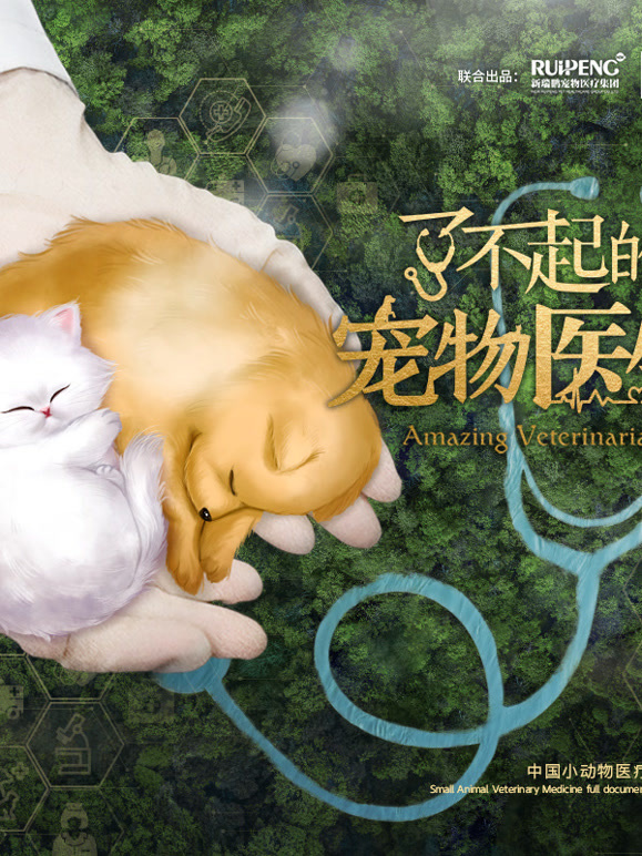 了不起的宠物医生封面图