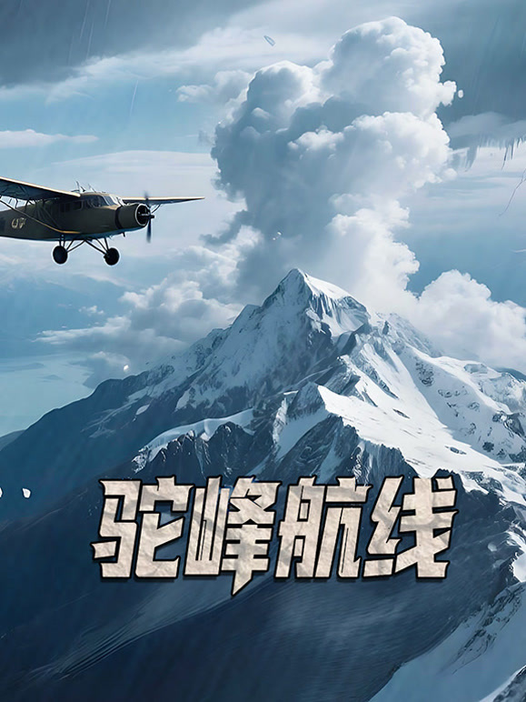 驼峰航线封面图