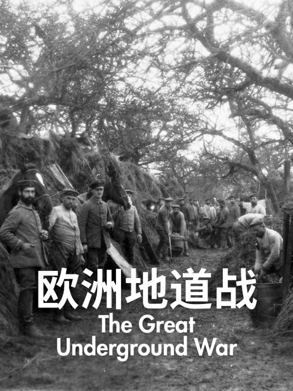 欧洲地道战封面图