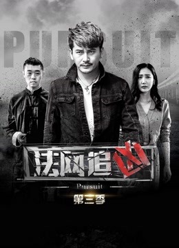 法网追凶 第三季封面图