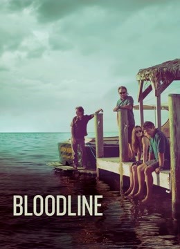 至亲血统封面图