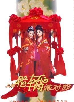 上错花轿嫁对郎封面图
