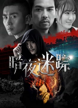 暗夜迷踪封面图