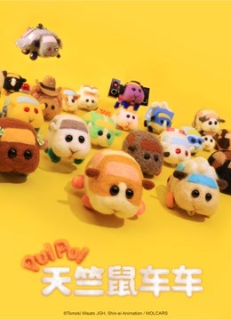 PUI PUI 天竺鼠车车封面图