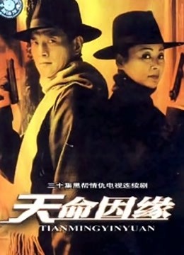 天命因缘封面图
