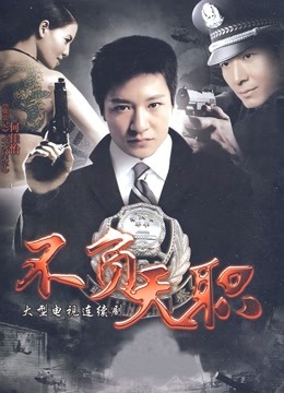 不负天职封面图