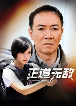 正道无敌封面图